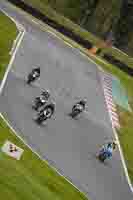 brands-hatch-photographs;brands-no-limits-trackday;cadwell-trackday-photographs;enduro-digital-images;event-digital-images;eventdigitalimages;no-limits-trackdays;peter-wileman-photography;racing-digital-images;trackday-digital-images;trackday-photos